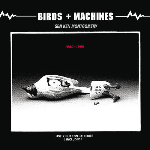 Birds & Machines (machine suite)