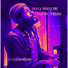 Mercy Mercy Me - Marvin Tribute  (AJ Cotton Remix)