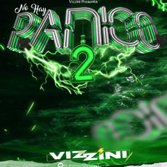 ⚡️❗️DJ  VIZZINI No Hay Panico VOL-2  [EDICION BALIN EN CHILE⚡️❗️