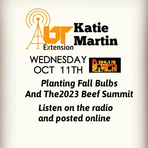 Stream oct 11 2023 ut extension by 104 1 the ranch listen online for