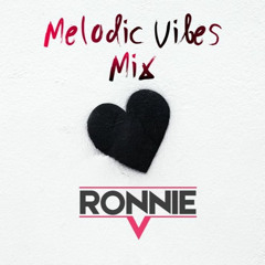 Melodic Vibes Mix 14