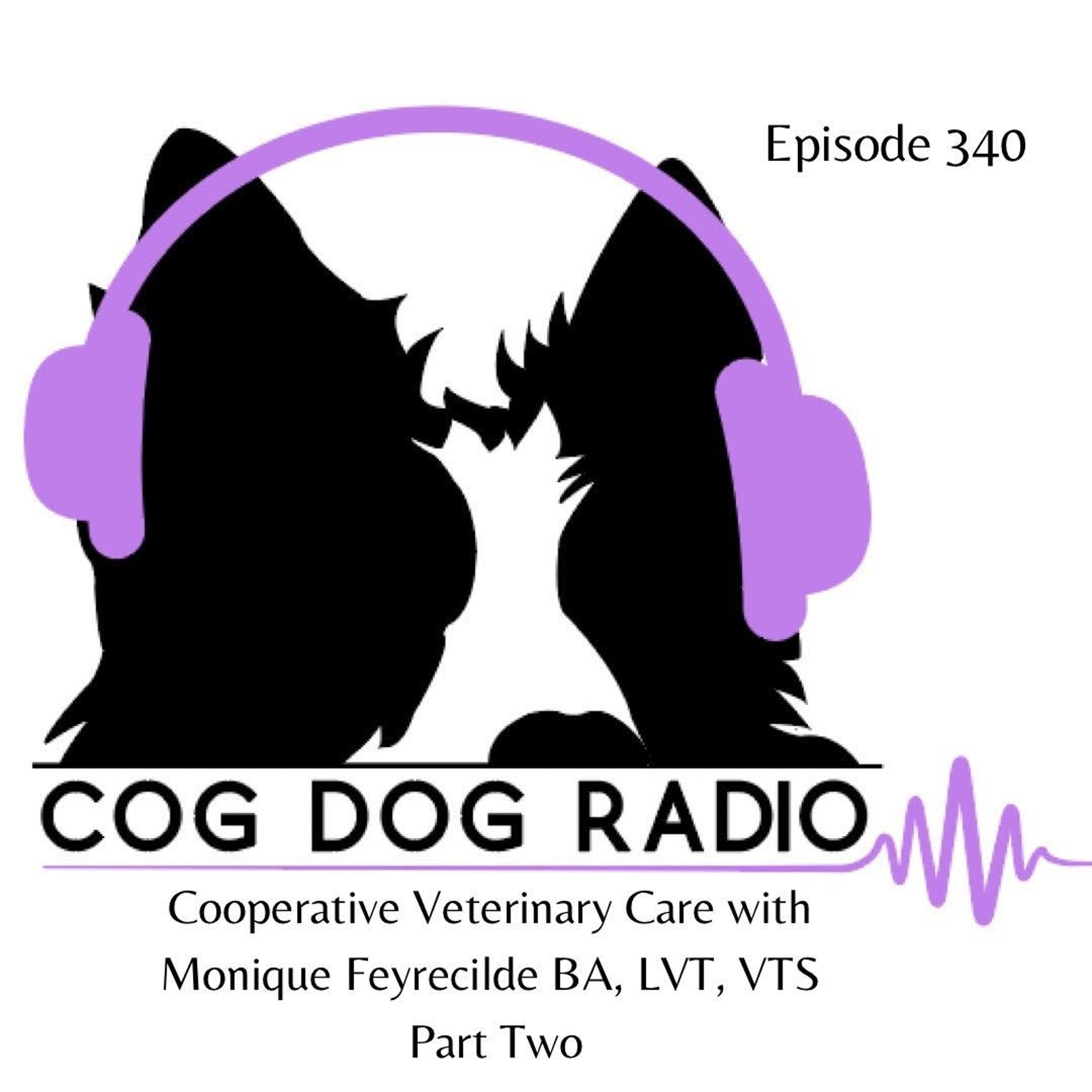 Cooperative Veterinary Care with Monique Feyrecilde BA, LVT,  VTS Part Two