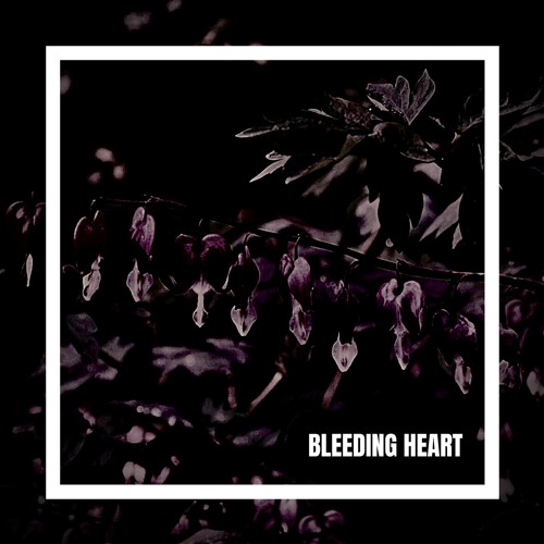 Bleeding Heart