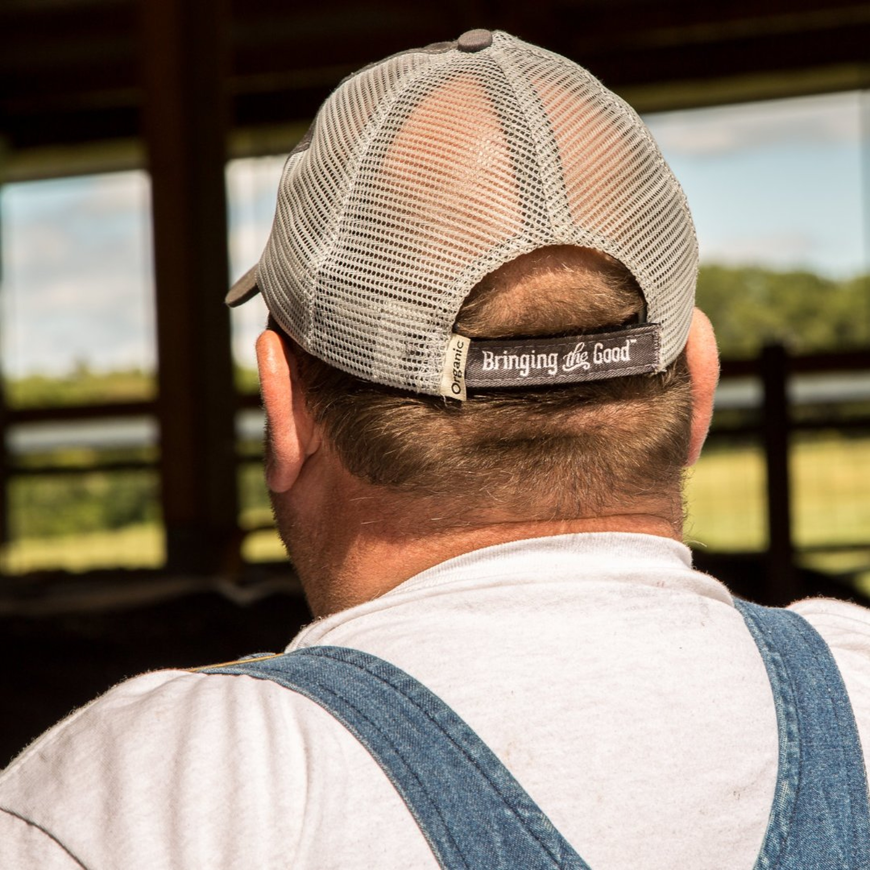Immigrant labor on Wisconsin dairy farms