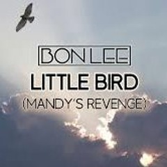 BON LEE – LITTLE BIRD (MANDY’S REVENGE) bounce heaven!