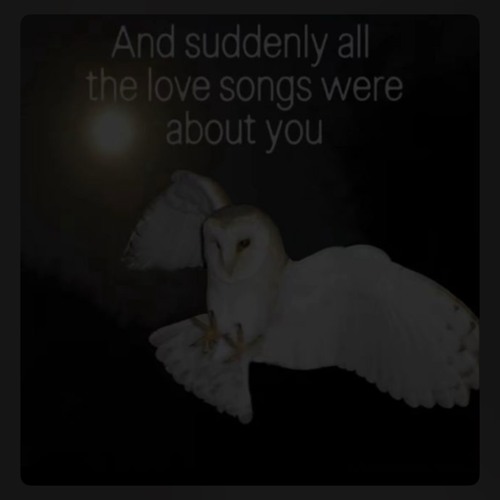 in the end will you remember me