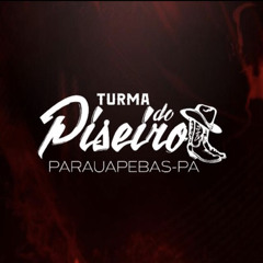 SET TURMA DO PISEIRO 2023 DJ FERNANDO VIEIRA.mp3