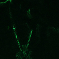 Lilfye in demon mode 2.m4a