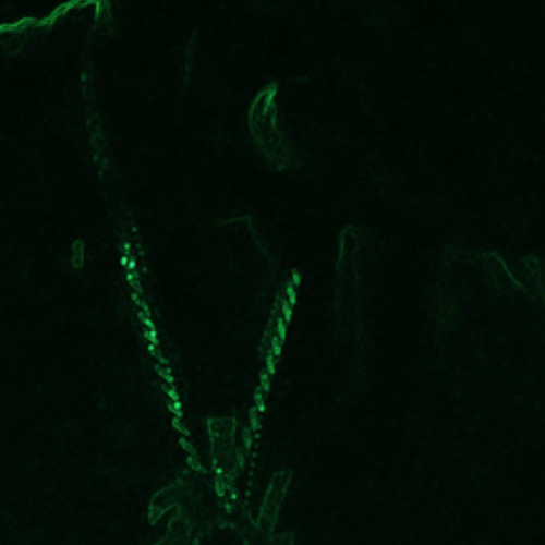 Lilfye in demon mode 2.m4a