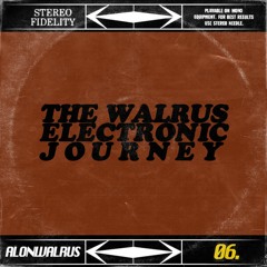 THE WALRUS ELECTRONIC JOURNEY 06