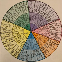 Inadequately explained emotions
