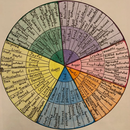 Inadequately explained emotions