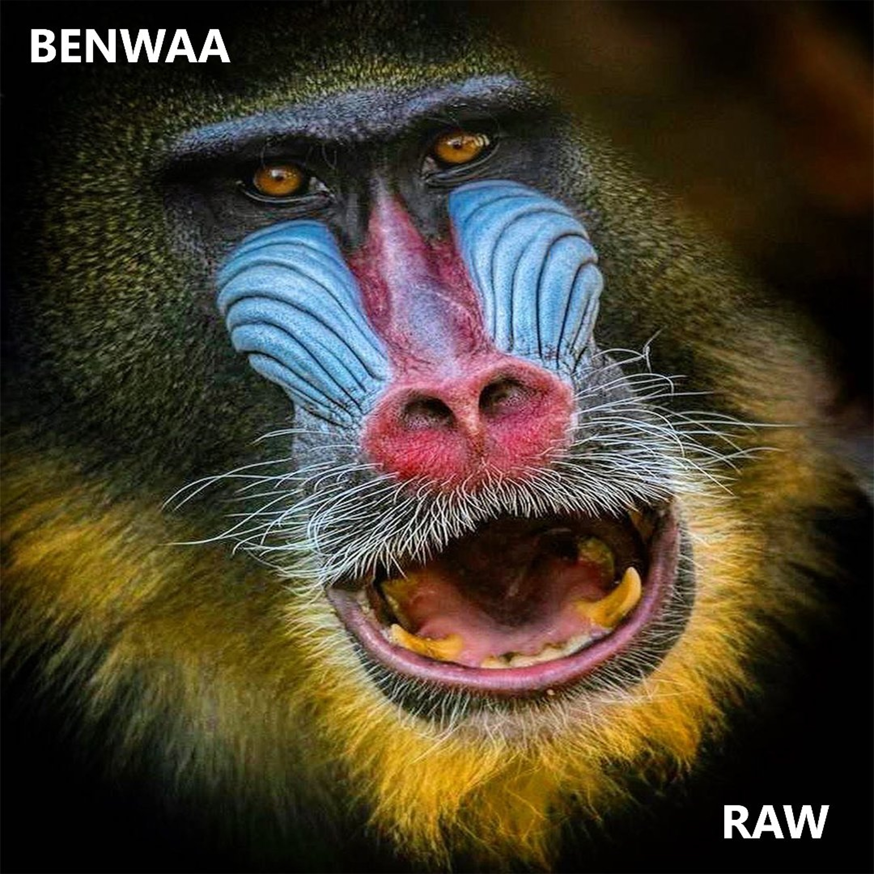 Benwaa - Raw episode artwork