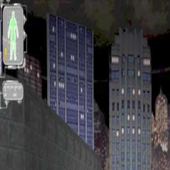 chṛysolophus - crystallinecollection3