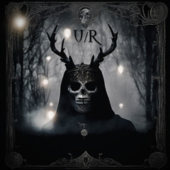 U/R - VOID