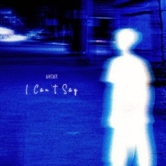 NASHX - I Can’t Say