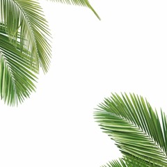ᴅᴊ ʜᴏʟᴅᴜᴘᴢ x ᴛʀᴜᴄᴇ: ᴊᴜɴɢʟᴇ ʙᴏᴏᴋ [ʀᴇᴍɪx 𝟸𝟶𝟸𝟶]💚🏝️