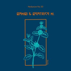 Herbarium - Mix Series