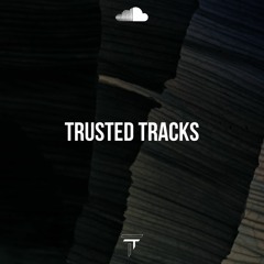 TRUSTED TRACKS 062 - Guido Flava