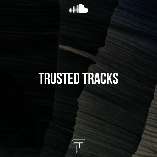 TRUSTED TRACKS 062 - Guido Flava