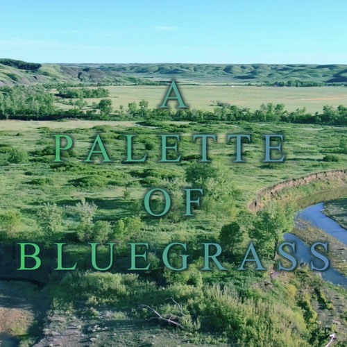 A Palette Of Bluegrass