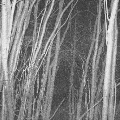 noch groza i pod'emy (witch edit)