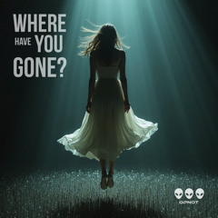 Where Have You Gone?