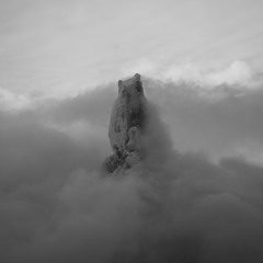 Ako - Tak - WM02