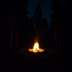 Chasing Firelight