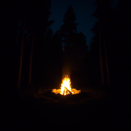 Chasing Firelight