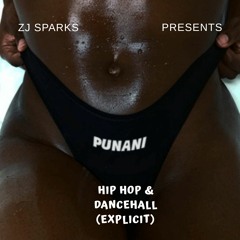 ZJ SPARKS presents PUNANI