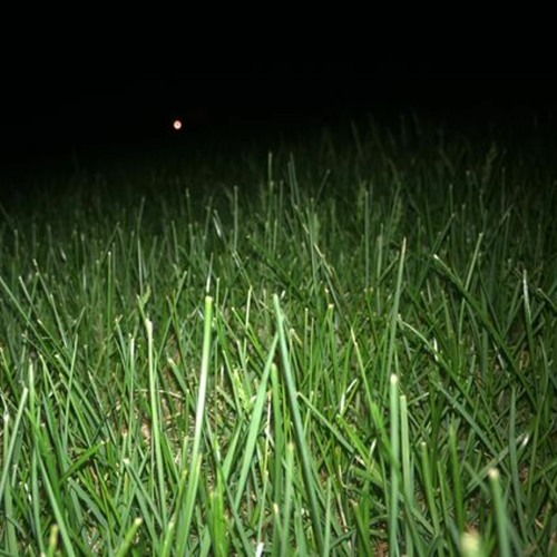 Stream cold fingers by mr. bigsworth's sounds of Listen