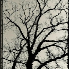 gouz - Exploration abstraite de l'extase sonore