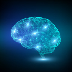 Mesmerized Hippocampus