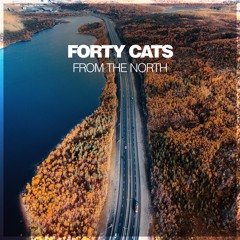 Forty Cats - From The North