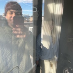 bees and the berries