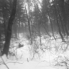 TAKE DAT HOME #SNOWOTW (TWINLOCKEDIN)