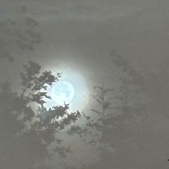 DJ MIX - Mike Spinx - Winter is here Live Studio Mix 18-11-25