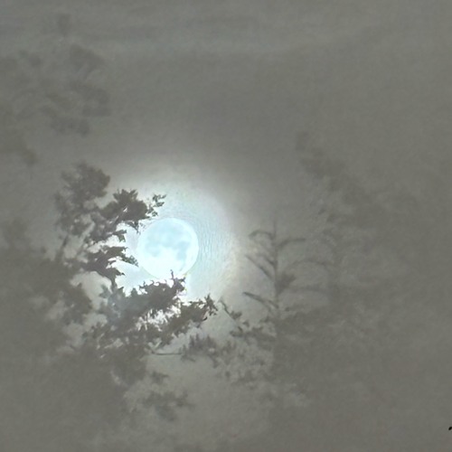 DJ MIX - Mike Spinx - Winter is here Live Studio Mix 18-11-25