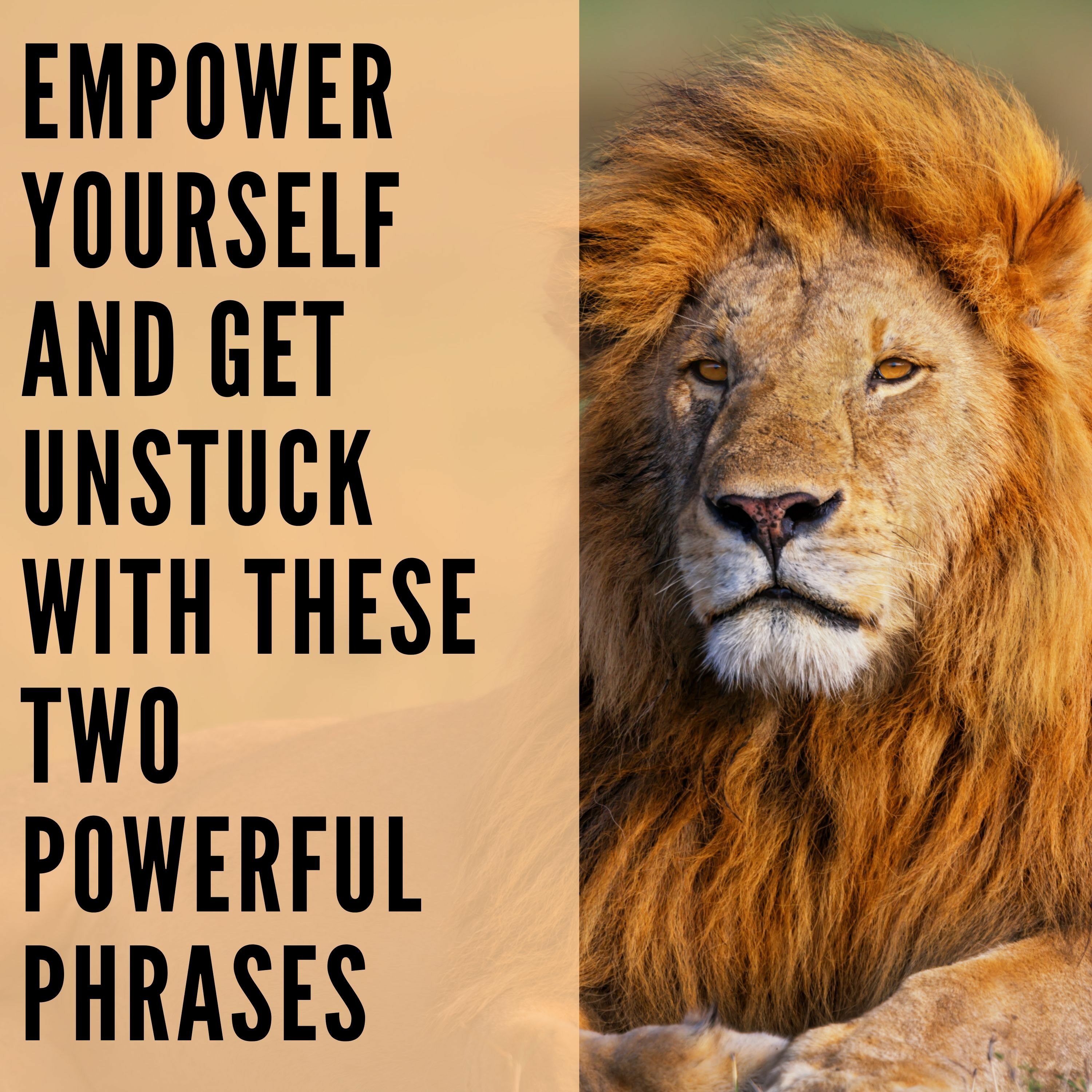 112 // Empower Yourself and Get Unstuck With These Two Powerful Phrases