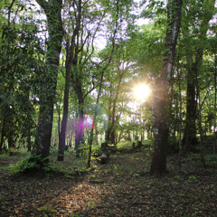 06.10.2025 - Cap. XXIV - Não Coloqueis a Candeia Sob o Alqueire (15)