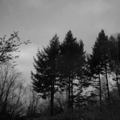 oct 2k25 halloween samples @spkears