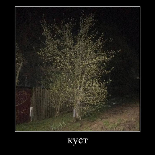 куст feat. ucancallmematty