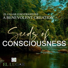 Seeds Of Consciousness - Garden of Possibilities