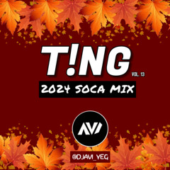 T!NG Vol. 13: 2024 SOCA MIX