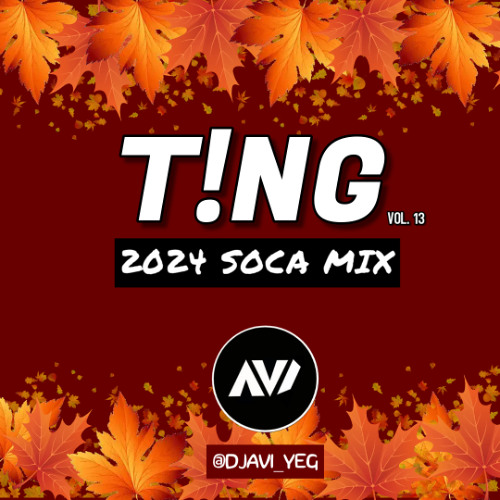 T!NG Vol. 13: 2024 SOCA MIX
