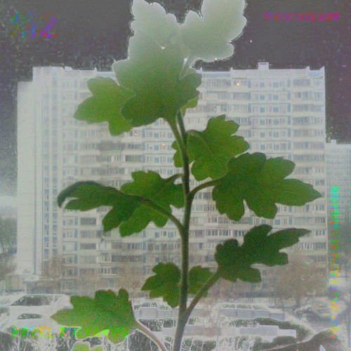 NTS 14.02.2022