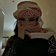 MEGATRONTEKK (HARDTEKK)