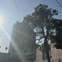 Sidewalk  (audio file ʕ•͓͡•ʔ-̫͡-ʕ•̫͡•ʔ from 3.1.24)