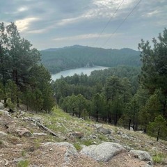 Big Steff - Just A Thought